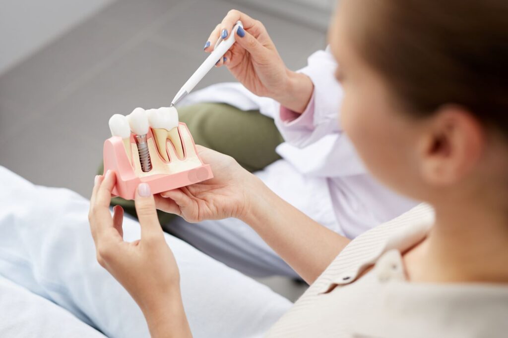 A woman holding a model of a jaw with dental implants during a dental implant consultation with her dentist.